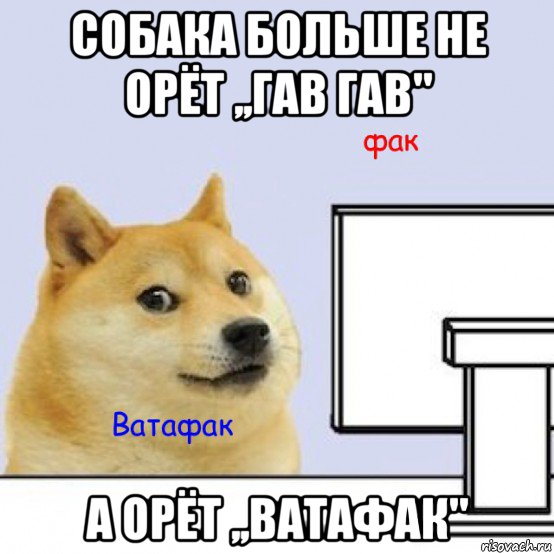 собака больше не орёт ,,гав гав" а орёт ,,ватафак"