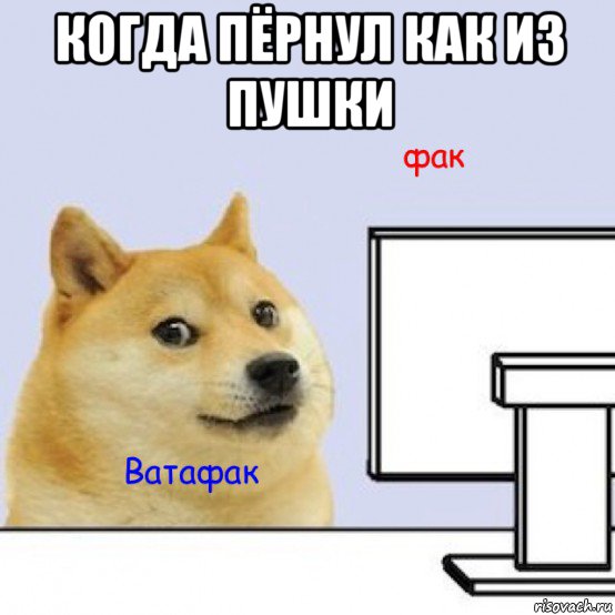 когда пёрнул как из пушки , Мем Собака за компьютером