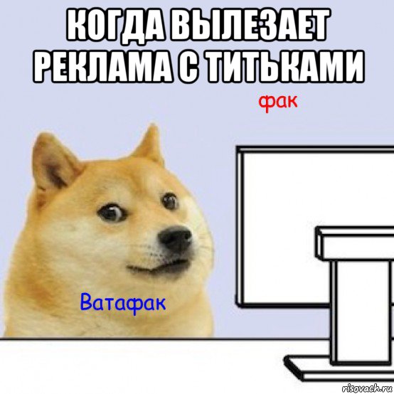 когда вылезает реклама с титьками , Мем Собака за компьютером