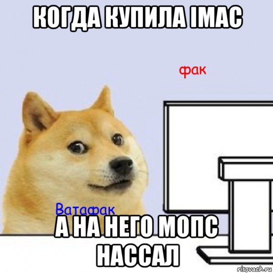 когда купила imac а на него мопс нассал, Мем Собака за компьютером
