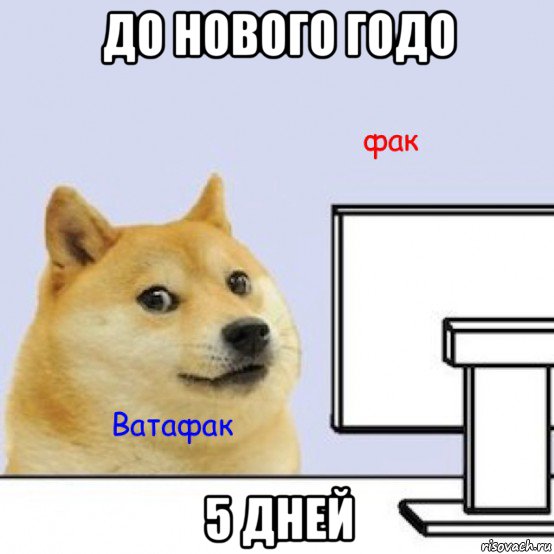 до нового годо 5 дней, Мем Собака за компьютером