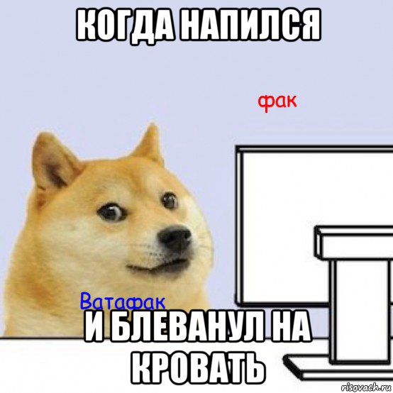 когда напился и блеванул на кровать, Мем Собака за компьютером