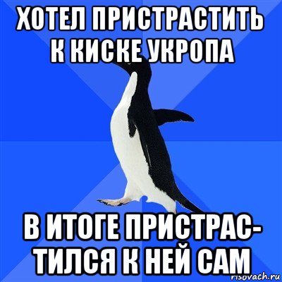 хотел пристрастить к киске укропа в итоге пристрас- тился к ней сам, Мем  Социально-неуклюжий пингвин