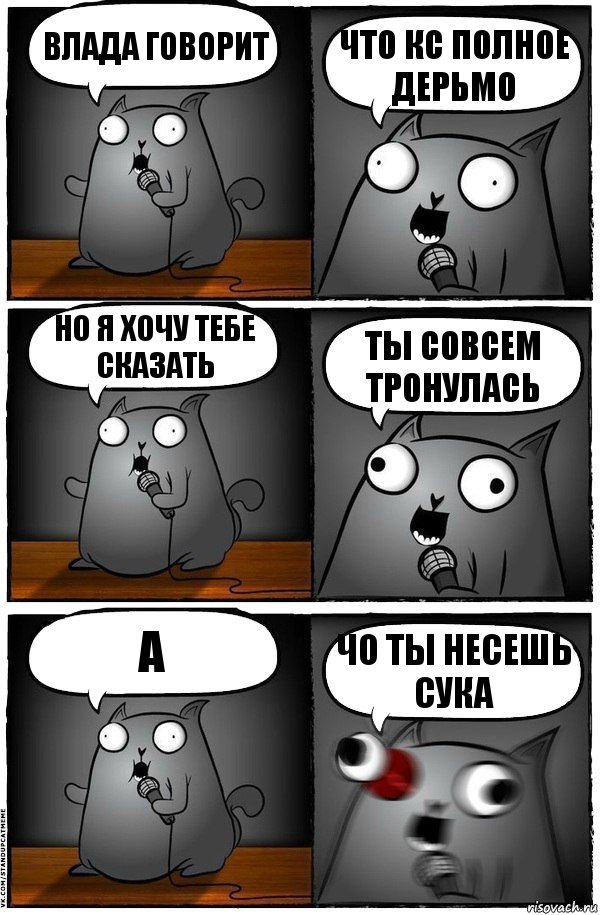 Влада говорит ЧТО кс полное дерьмо но я хочу тебе сказать ты совсем тронулась а ЧО ТЫ НЕСЕШЬ СУКА, Комикс  Стендап-кот