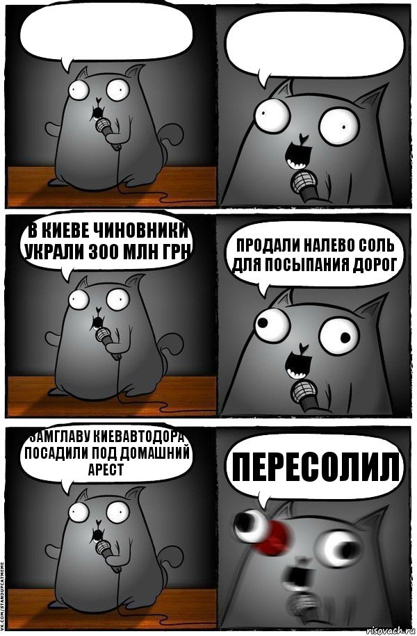   В Киеве чиновники украли 300 млн грн продали налево соль для посыпания дорог замглаву Киевавтодора посадили под домашний арест пересолил, Комикс  Стендап-кот