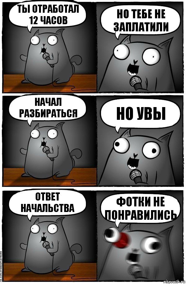 Ты отработал 12 часов НО ТЕБЕ НЕ ЗАПЛАТИЛИ начал разбираться но увы ответ начальства ФОТКИ НЕ ПОНРАВИЛИСЬ, Комикс  Стендап-кот