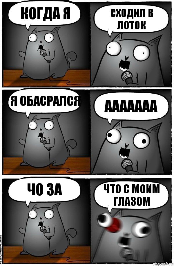 когда я сходил в лоток я обасрался ааааааа чо за что с моим глазом, Комикс  Стендап-кот