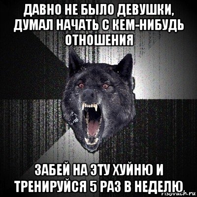 давно не было девушки, думал начать с кем-нибудь отношения забей на эту хуйню и тренируйся 5 раз в неделю, Мем Сумасшедший волк