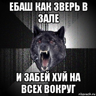 ебаш как зверь в зале и забей хуй на всех вокруг, Мем Сумасшедший волк