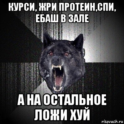 курси, жри протеин,спи, ебаш в зале а на остальное ложи хуй