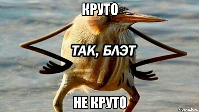 круто не круто, Мем  Так блэт