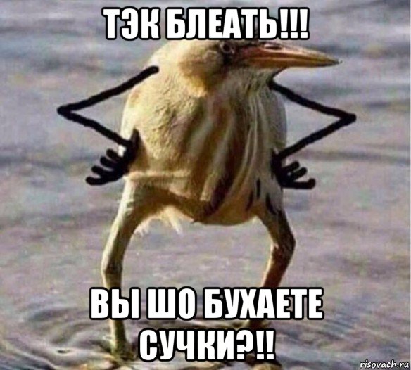 тэк блеать!!! вы шо бухаете сучки?!!, Мем Так Блэт