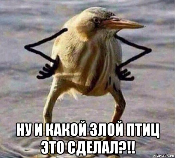  ну и какой злой птиц это сделал?!!, Мем Так Блэт