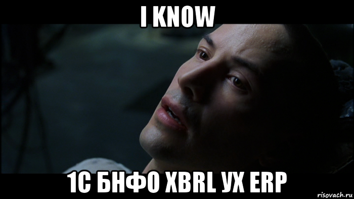 i know 1с бнфо xbrl ух erp