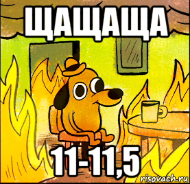 щащаща 11-11,5