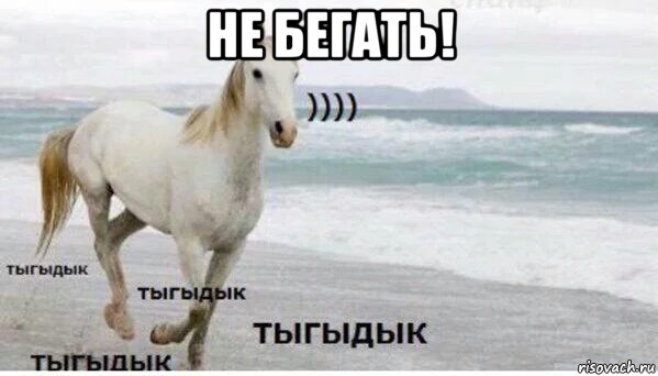 не бегать! , Мем   Тыгыдык