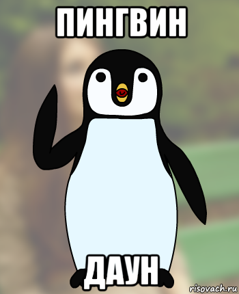 пингвин даун, Мем Типичный олимпиадник