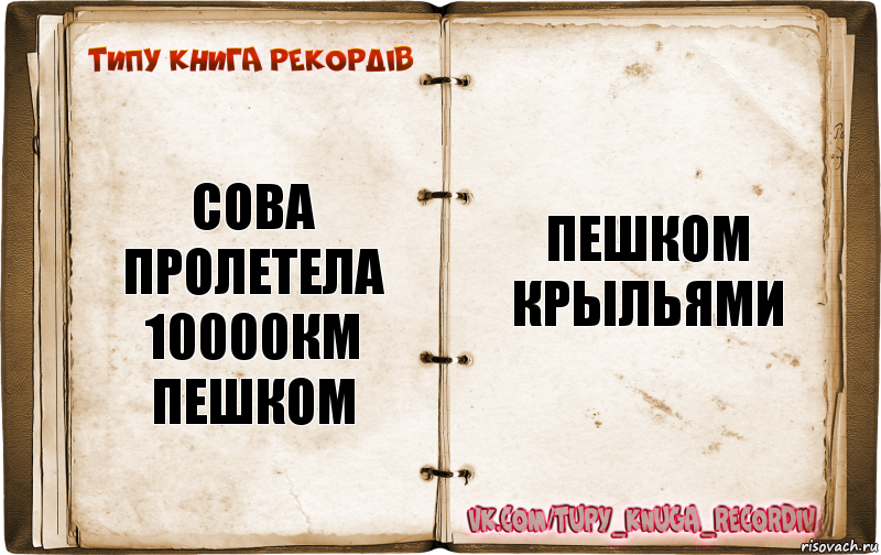 Сова пролетела 10000км пешком Пешком крыльями, Комикс  Типу книга рекордв