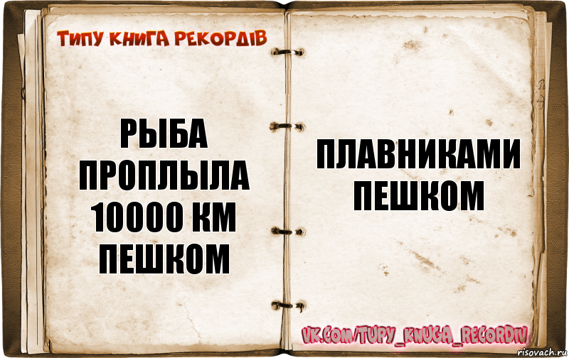 Рыба проплыла 10000 км пешком Плавниками пешком, Комикс  Типу книга рекордв