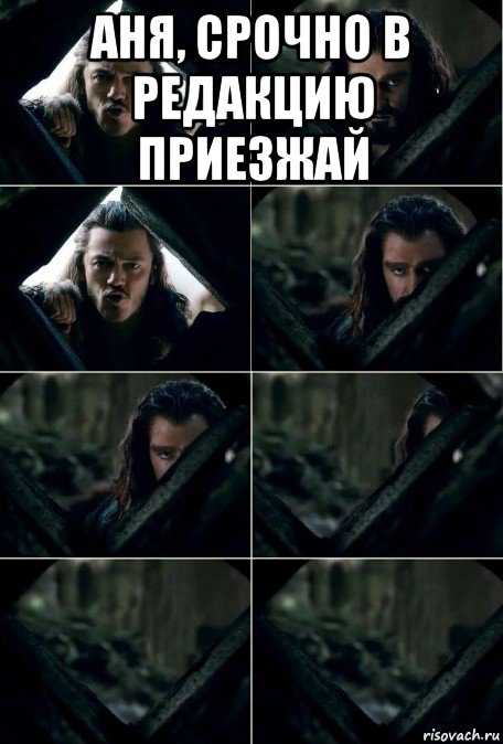 аня, срочно в редакцию приезжай 