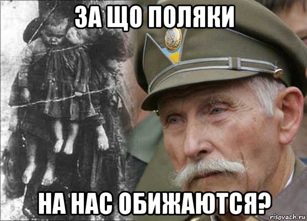 за що поляки на нас обижаются?