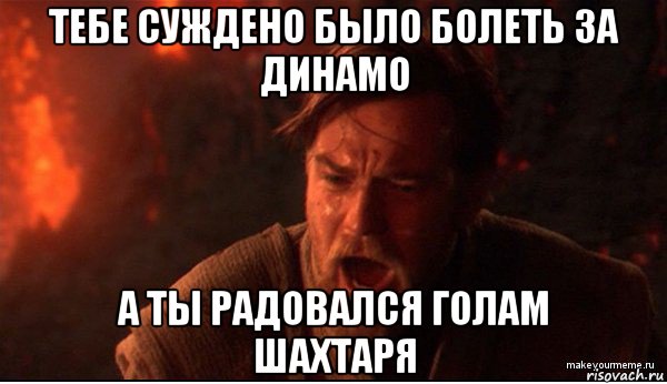 тебе суждено было болеть за динамо а ты радовался голам шахтаря, Мем ты был мне как брат