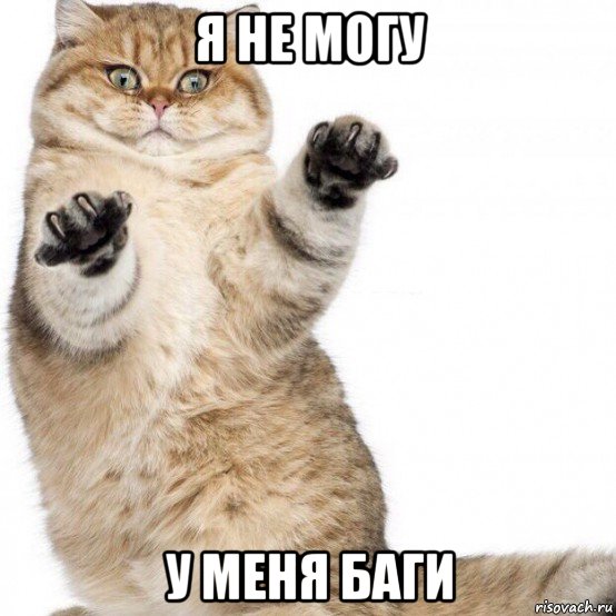 я не могу у меня баги