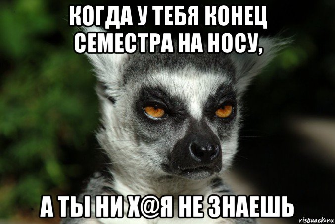 когда у тебя конец семестра на носу, а ты ни х@я не знаешь, Мем   Я збагоен