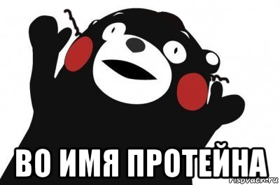  во имя протейна