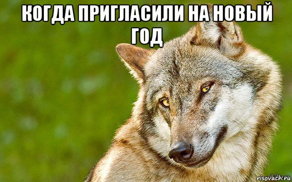 когда пригласили на новый год , Мем   Volf