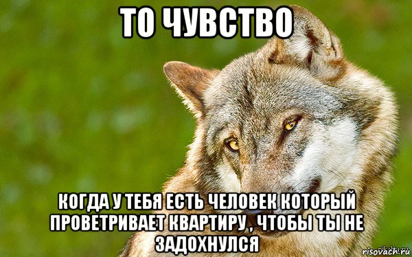 то чувство когда у тебя есть человек который проветривает квартиру , чтобы ты не задохнулся, Мем   Volf