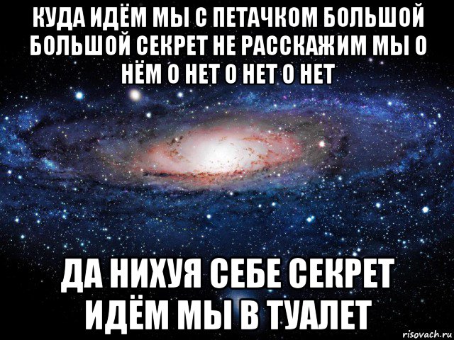 куда идём мы с петачком большой большой секрет не расскажим мы о нём о нет о нет о нет да нихуя себе секрет идём мы в туалет, Мем Вселенная