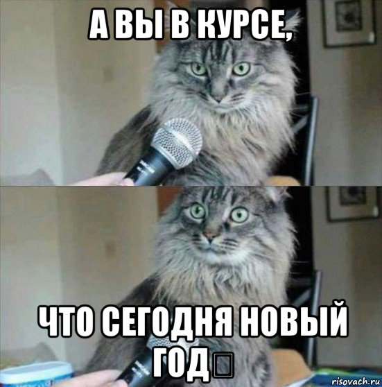 а вы в курсе, что сегодня новый год？
