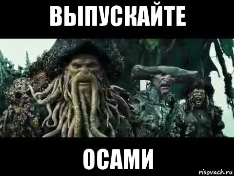 выпускайте осами, Мем Выпускайте кракена