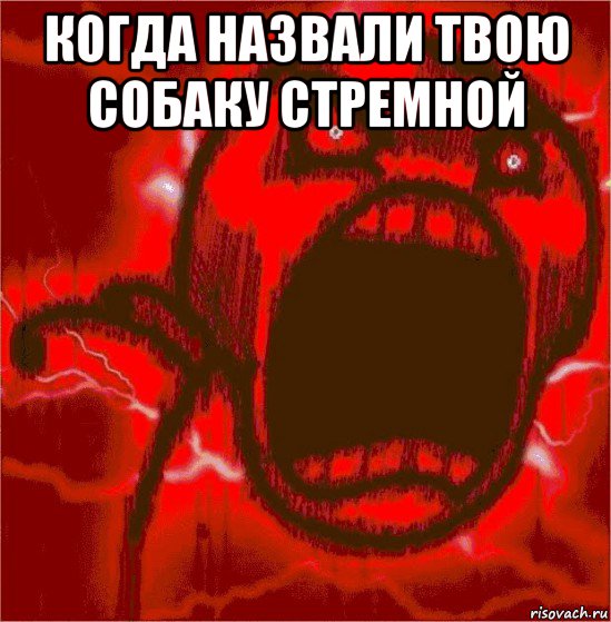 когда назвали твою собаку стремной 