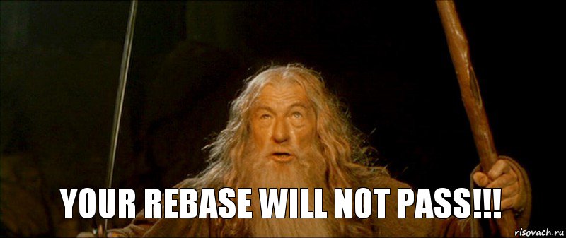 YOUR REBASE WILL NOT PASS!!!, Комикс you shall not pass