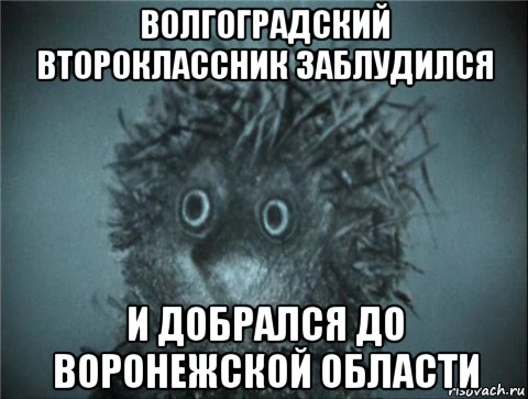 волгоградский второклассник заблудился и добрался до воронежской области