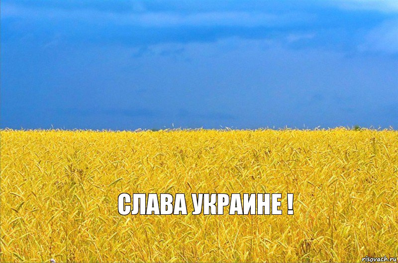  Слава Украине !, Комикс ыва