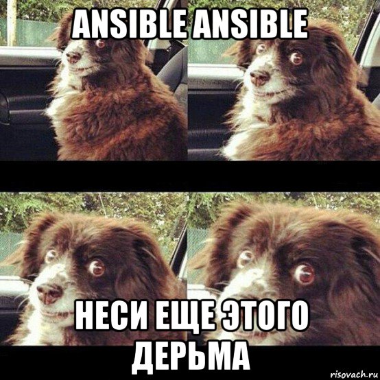 ansible ansible неси еще этого дерьма, Мем Заводи это дерьмо