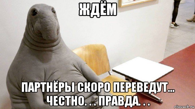 ждём партнёры скоро переведут... честно. . . правда. . .