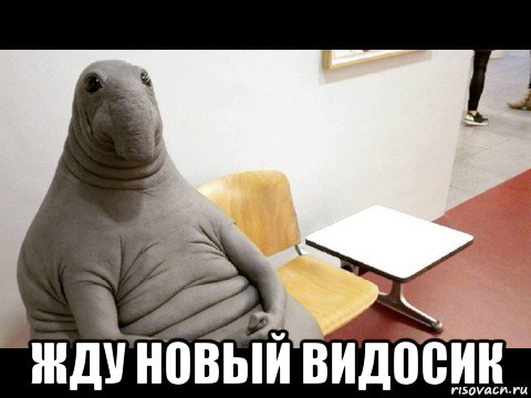  жду новый видосик
