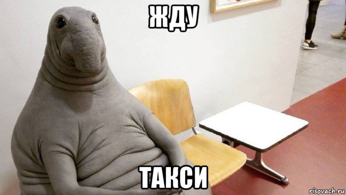 жду такси