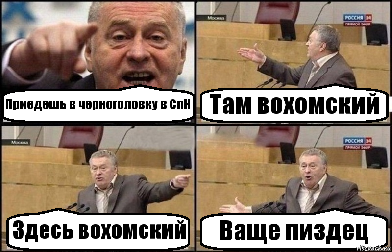 Приедешь в черноголовку в СпН Там вохомский Здесь вохомский Ваще пиздец, Комикс Жириновский