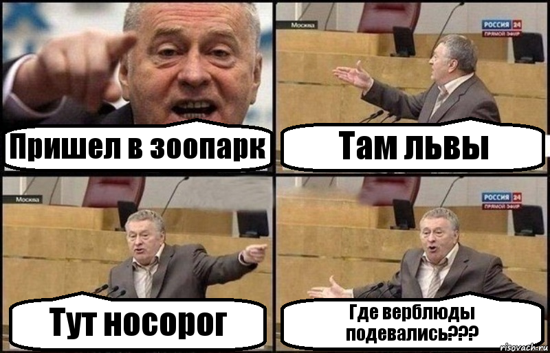 Пришел в зоопарк Там львы Тут носорог Где верблюды подевались???, Комикс Жириновский