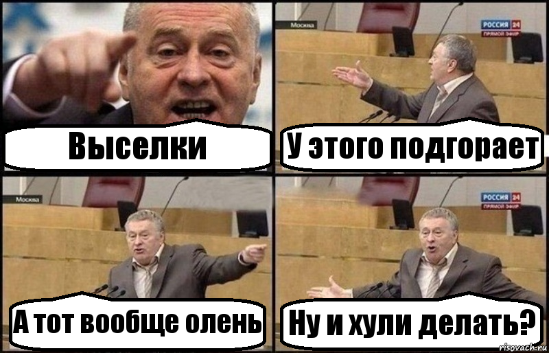 Выселки У этого подгорает А тот вообще олень Ну и хули делать?, Комикс Жириновский