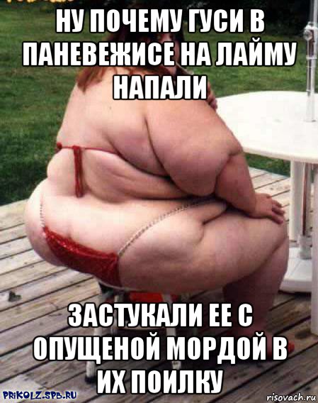 ну почему гуси в паневежисе на лайму напали застукали ее с опущеной мордой в их поилку
