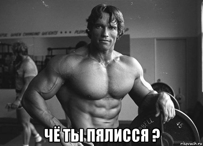  чё ты пялисся ?, Мем Арни