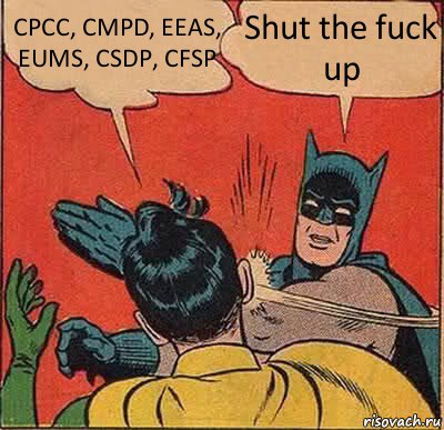 CPCC, CMPD, EEAS, EUMS, CSDP, CFSP Shut the fuck up, Комикс   Бетмен и Робин