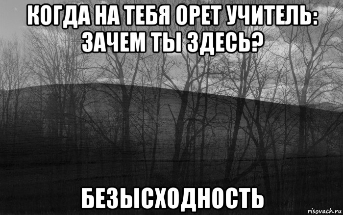 когда на тебя орет учитель: зачем ты здесь? безысходность, Мем безысходность лес