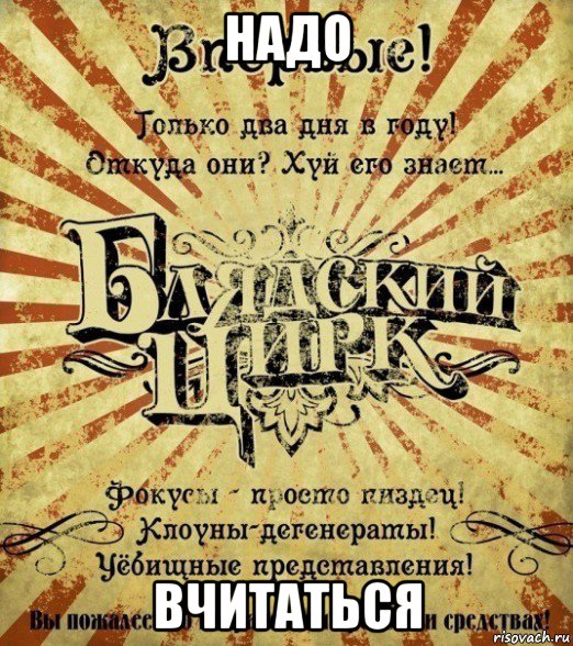 надо вчитаться, Мем Блядский цирк